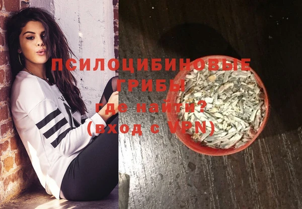 таблы Белокуриха
