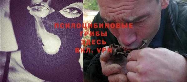 таблы Белокуриха