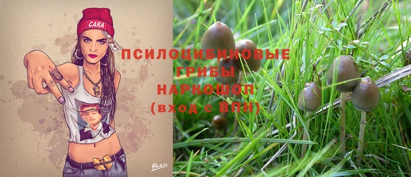 таблы Белокуриха