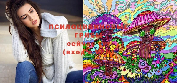 таблы Белокуриха