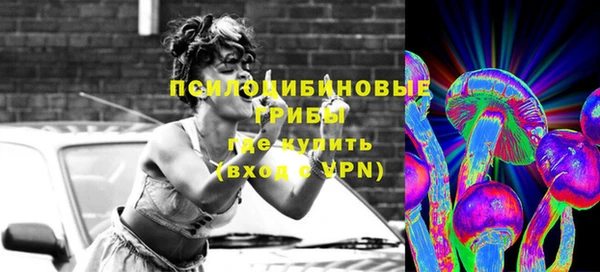 таблы Белокуриха