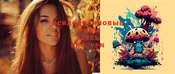 таблы Белокуриха