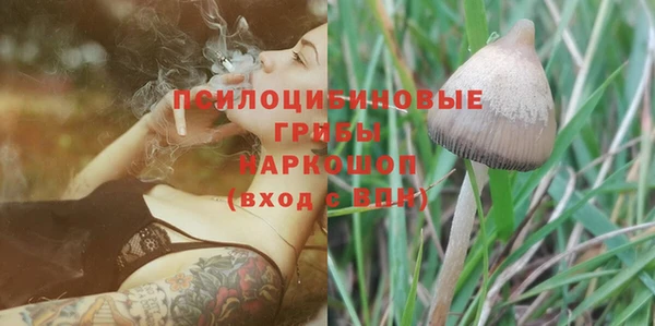 таблы Белокуриха