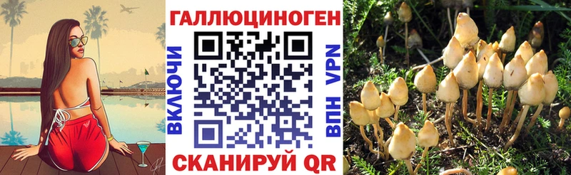 Галлюциногенные грибы Psilocybine cubensis  где купить наркотик  Красноярск 